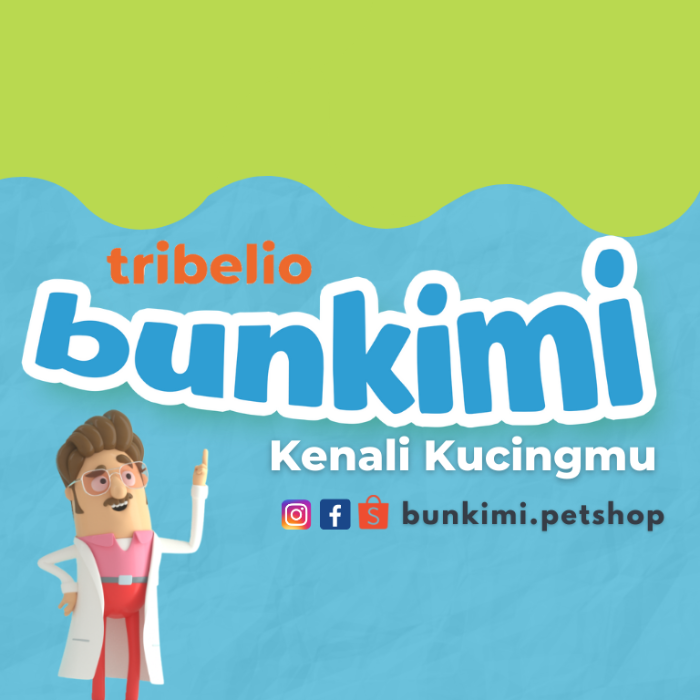 Dunia Kucing Dan Permasalahannya.