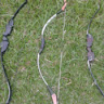 tes-image