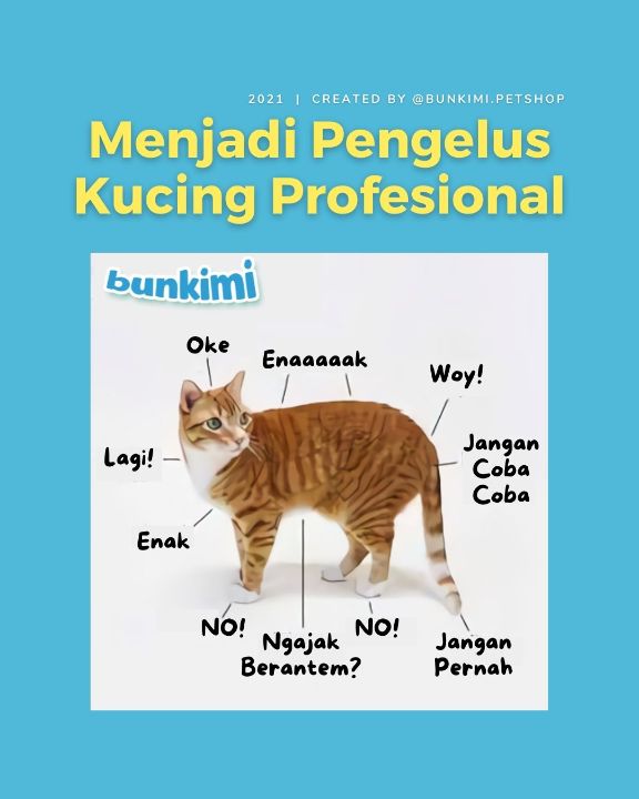 image-post