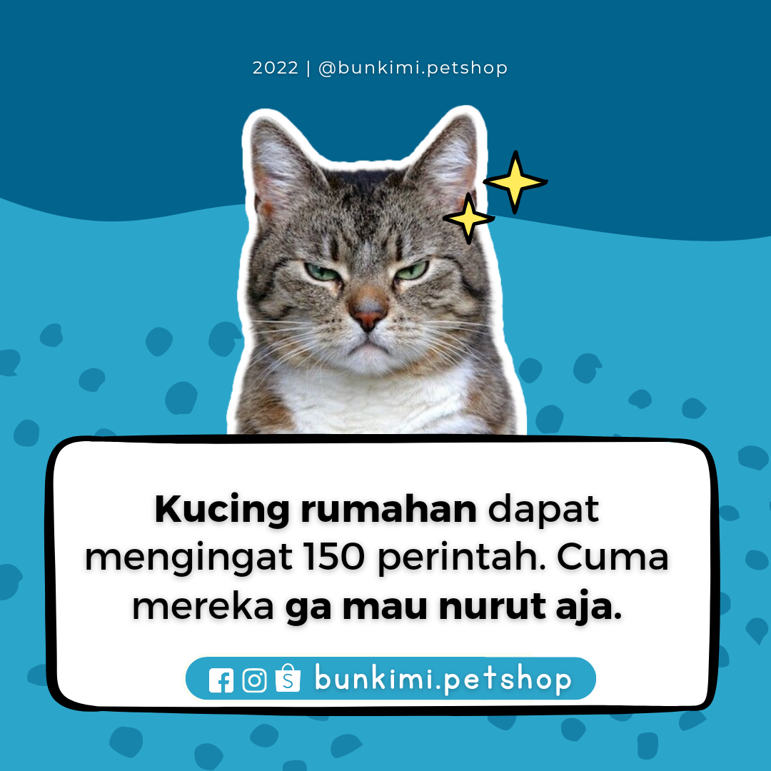 image-post