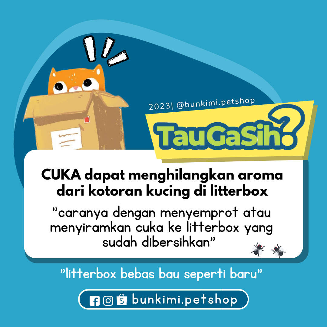 image-post