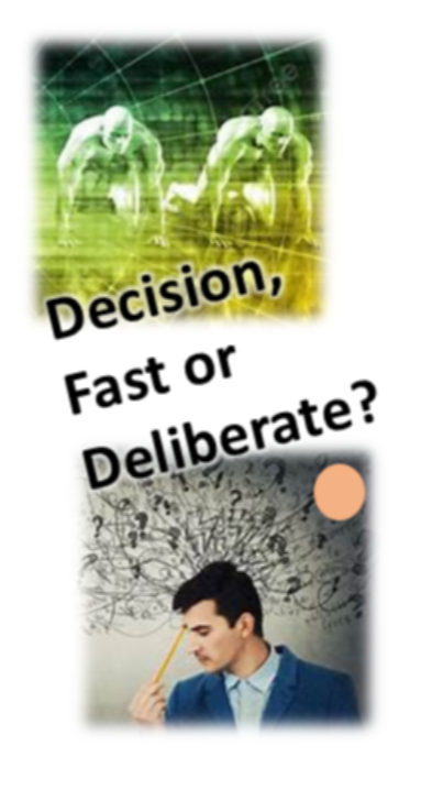 Buku Decision, Fast or Delibderate?